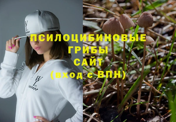 бошки Новозыбков